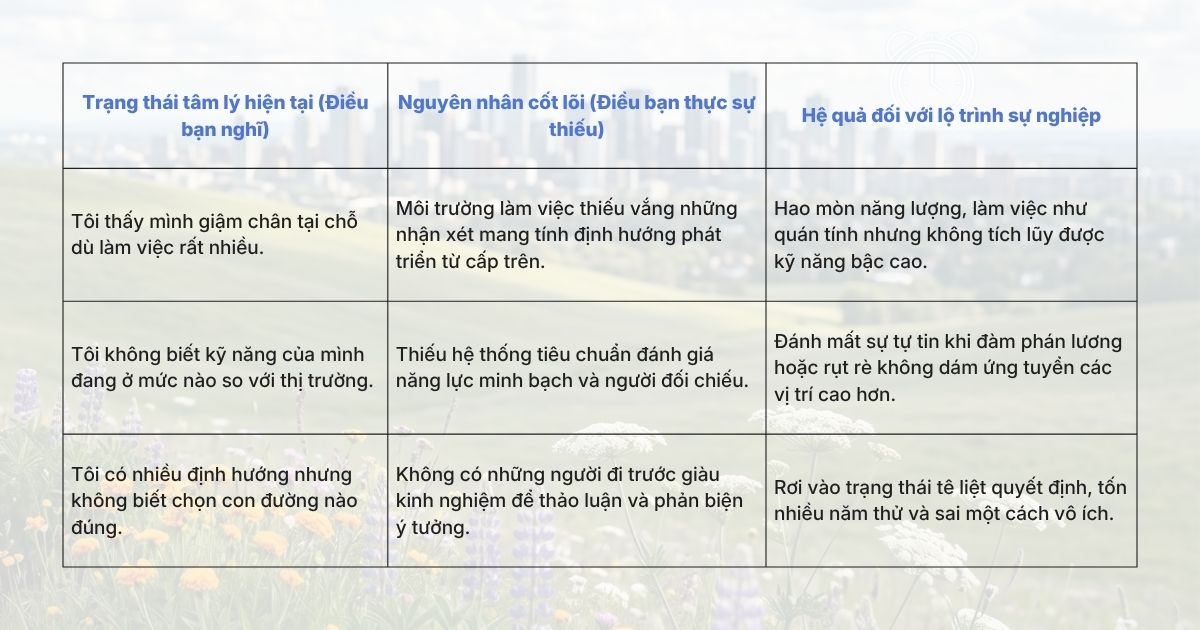 su-thieu-hut-he-thong